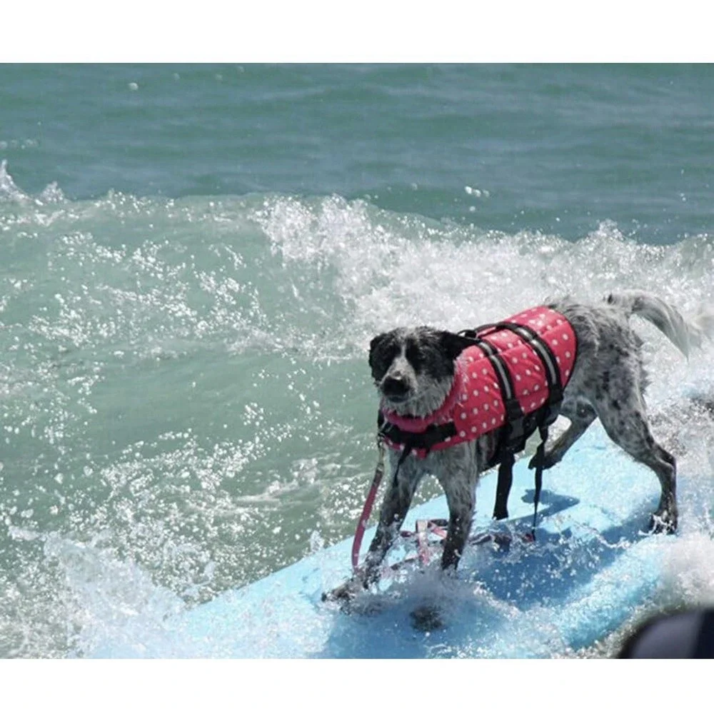 Pet Swimming Water Safety Vest Dog Life Jacket Swimsuit Size L w/‎ PULL Handle